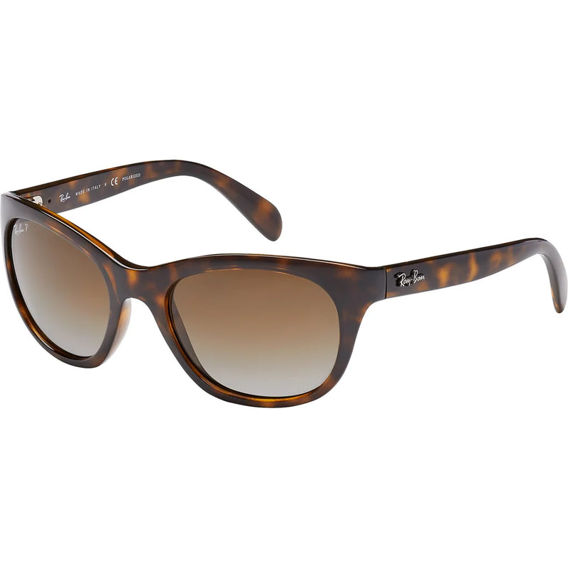 Ray Ban, Sunglasses, Brown, , Polarized, Unisex Sunglasses, Men Sunglasses