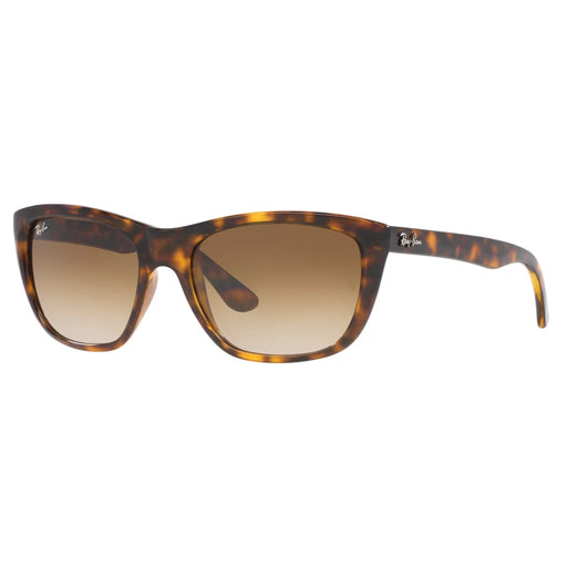 Ray Ban, Sunglasses, Brown, , 100% UV - Non Polarized, Unisex Sunglasses, Men Sunglasses